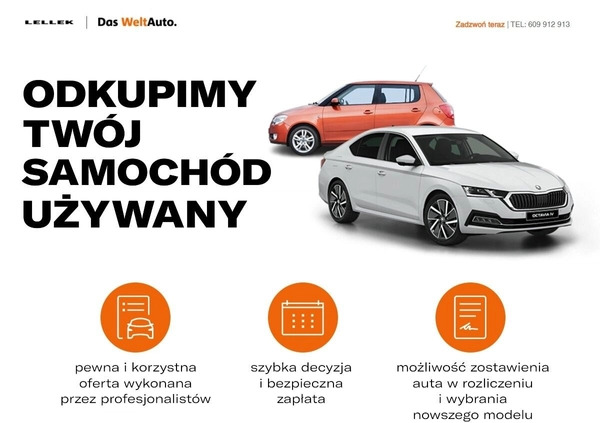 Skoda Kodiaq cena 125700 przebieg: 152190, rok produkcji 2019 z Opole małe 301